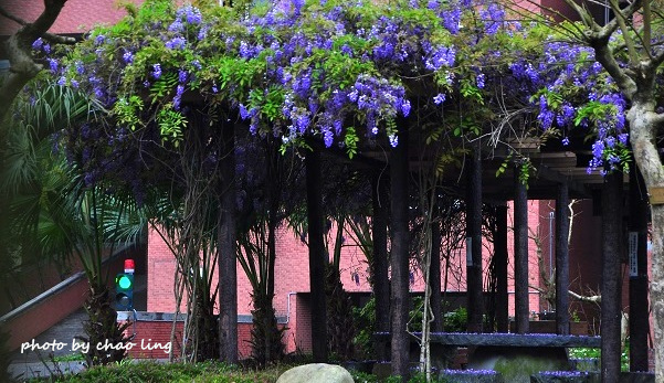 崇林國中-3.JPG - 2016春暖花開