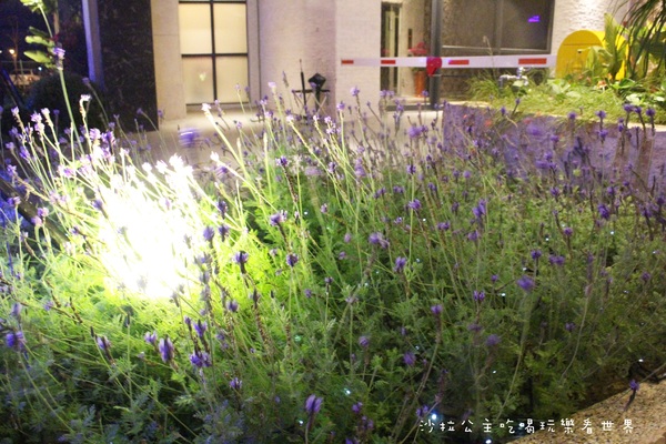 芭蕾經典旅館:台中住宿.旅館就是景點『芭蕾經典旅館』汽車旅館/Motel /近夜市