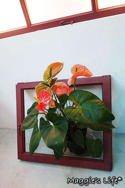 Oops Kitchen義法創意廚房：台北美食。捷運小巨蛋【Oops Kitchen義法創意廚房】義法美饌值得品嚐◆異國料理。義法料理。披薩。排餐。超值商業午餐