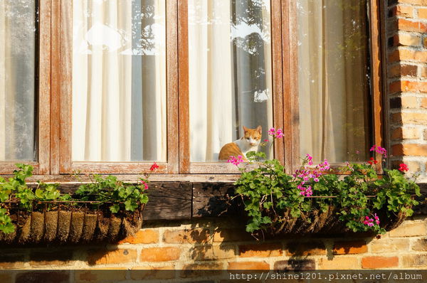 南投特色景點文心園花園咖啡
