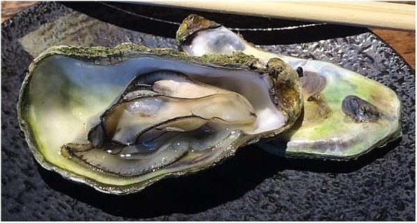 阿飛衝浪旅店：我在南灣。我為海浪停留~...阿飛衝浪旅店