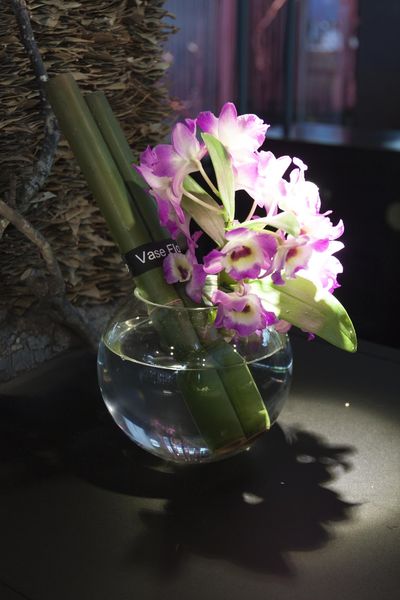 Toh-A' 桌藏午餐初訪 - 28