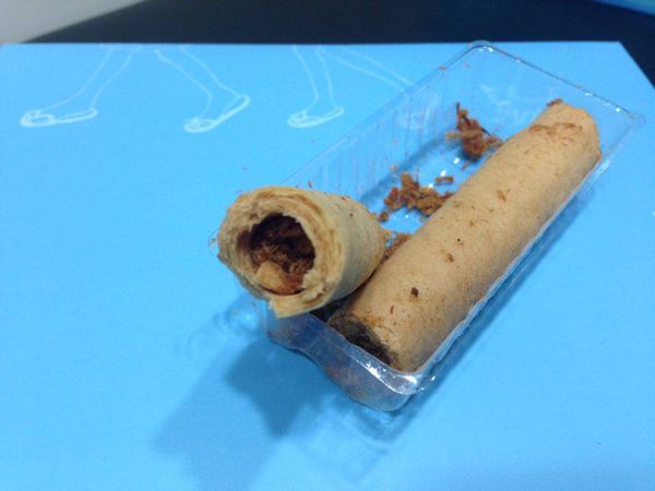 12463915_10204345116261652_2039933174_n