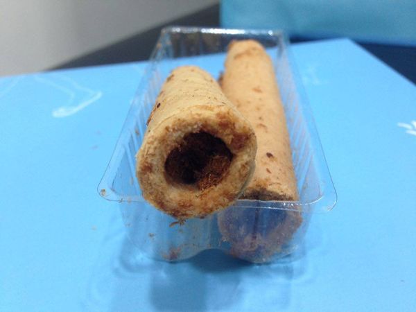 12459604_10204345116541659_1519534747_n