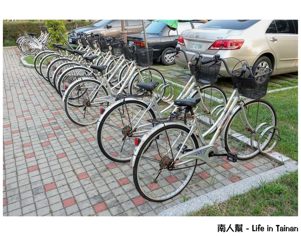 真心食府(新化)