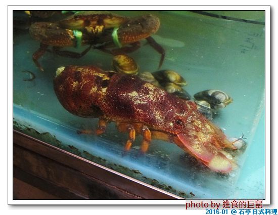 石亭日本料理：（台南。北區美食）石亭日本料理 / 超～日本風～『粉嫩豔麗 櫻花樹旁的日式料理餐廳』。新鮮漁獲直送。精緻美味套餐。