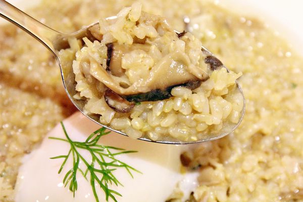 謝宜榮, Pino義大利燉飯專賣店,拿坡里比薩專門店,綜合野蕈溫泉蛋燉飯、白酒燉飯佐紅酒燉牛肉、芝麻葉煙燻鴨肉沙拉