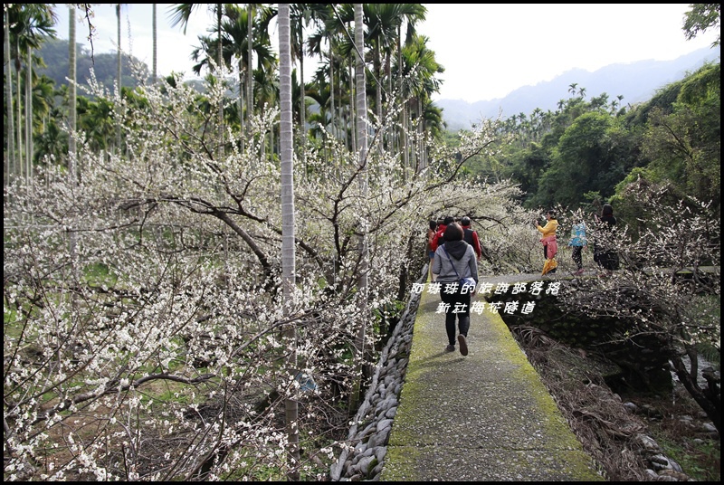 新社梅花隧道2.JPG