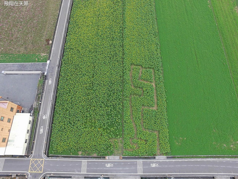 12571386_560433114120027_1750924581_n