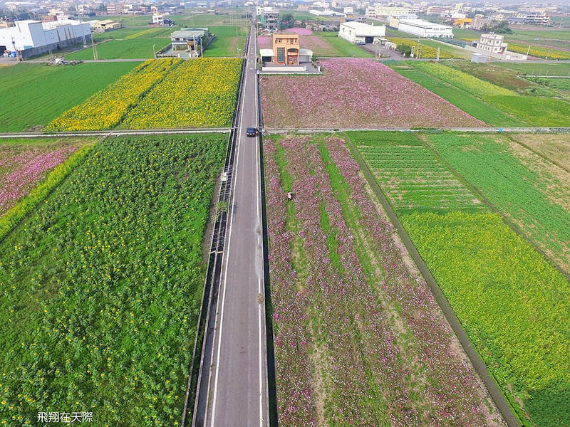 12511902_560433074120031_958396404_n