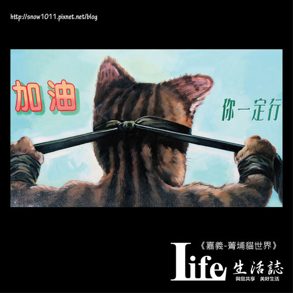 菁埔貓世界-26.jpg