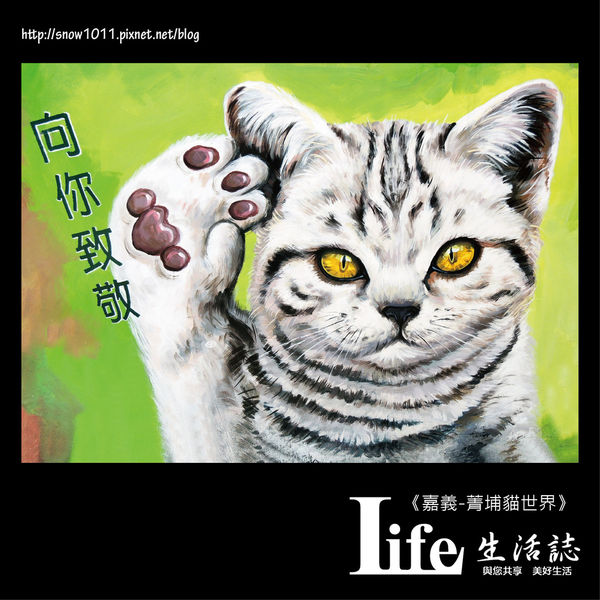 菁埔貓世界-34.jpg