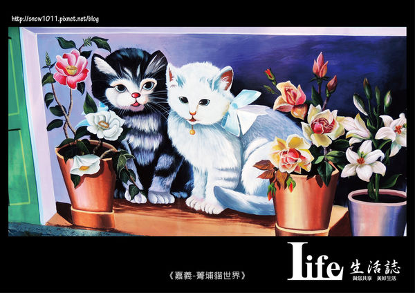 菁埔貓世界-4.jpg