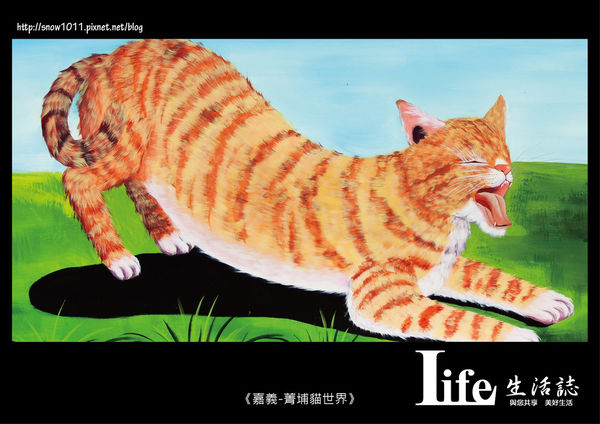 菁埔貓世界-11.jpg