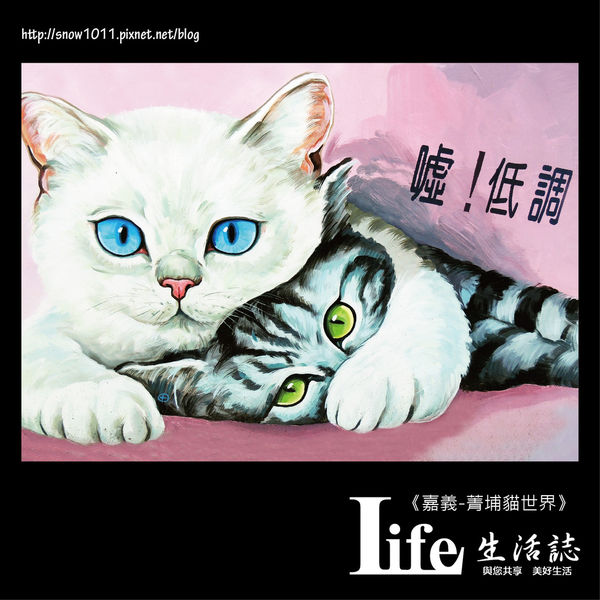 菁埔貓世界-21.jpg
