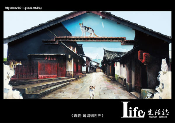 菁埔貓世界-8.jpg