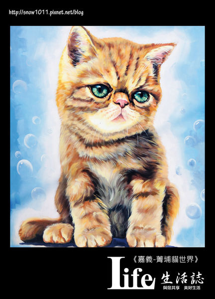 菁埔貓世界-38.jpg