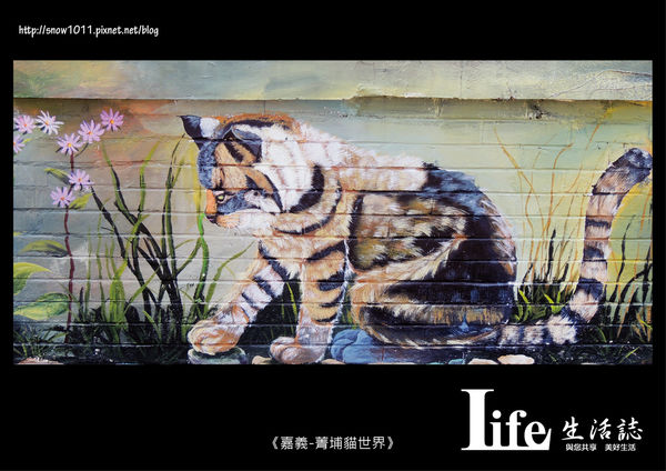 菁埔貓世界-15.jpg