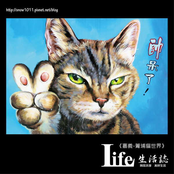 菁埔貓世界-32.jpg
