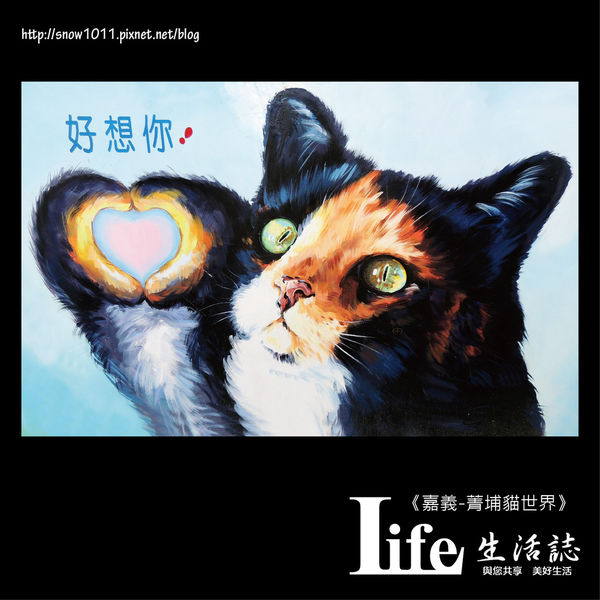 菁埔貓世界-27.jpg