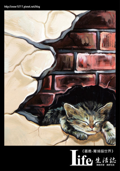 菁埔貓世界-17.jpg