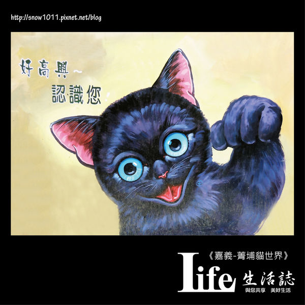 菁埔貓世界-19.jpg