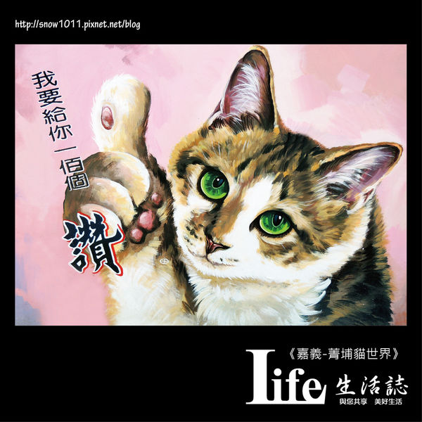 菁埔貓世界-33.jpg