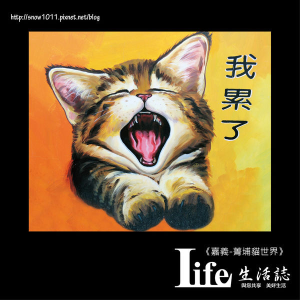 菁埔貓世界-24.jpg