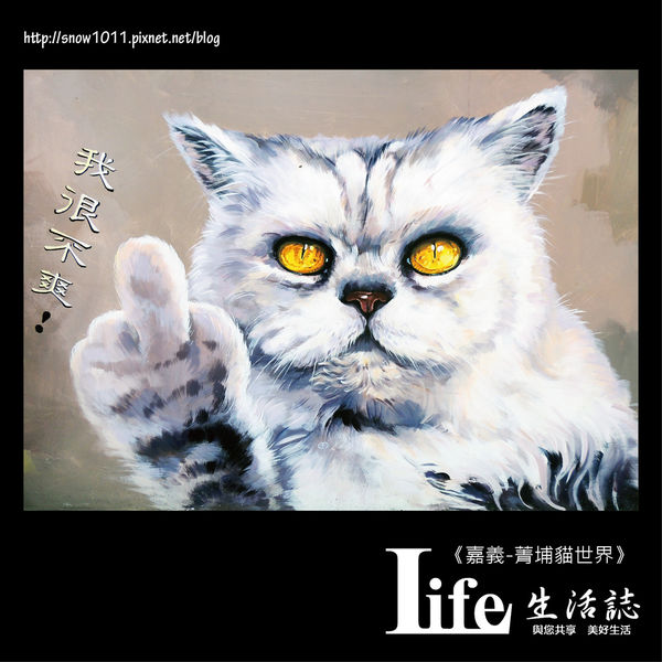菁埔貓世界-29.jpg