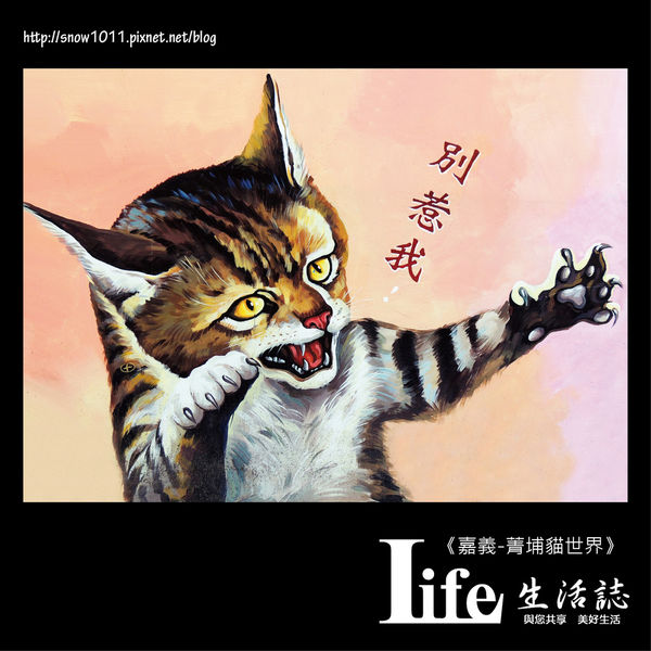 菁埔貓世界-20.jpg