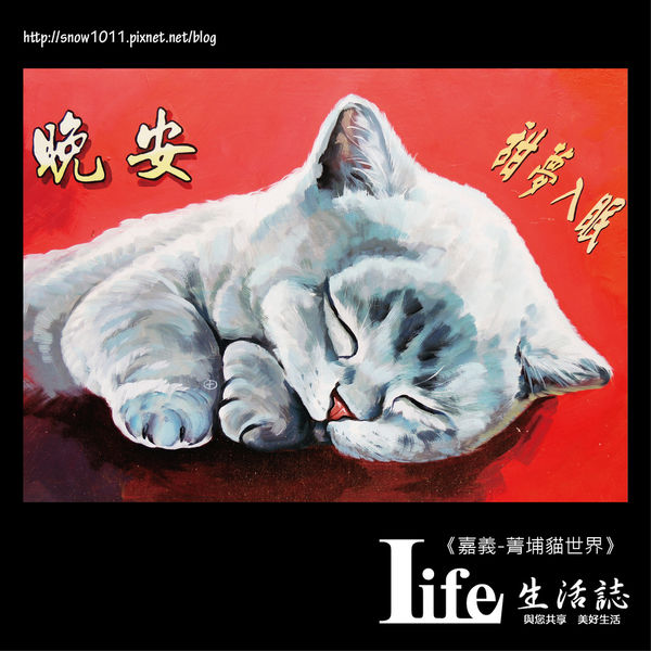 菁埔貓世界-23.jpg