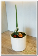 omocafé:天母早午餐.天光下的美味午茶極簡風餐廳── omocafé