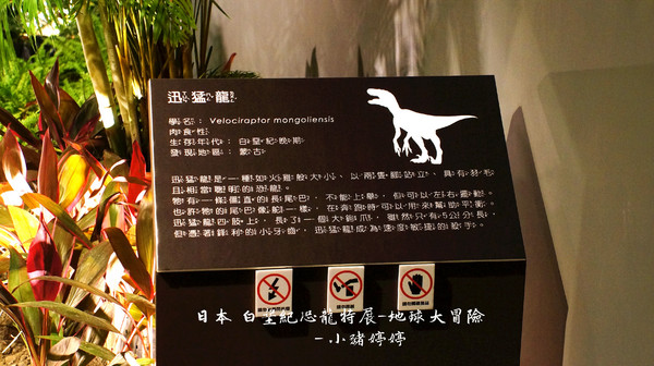 白堊紀恐龍特展(台中場):台中世貿 日本 白堊紀恐龍特展 地球大冒險 GO跟著我去冒險囉!