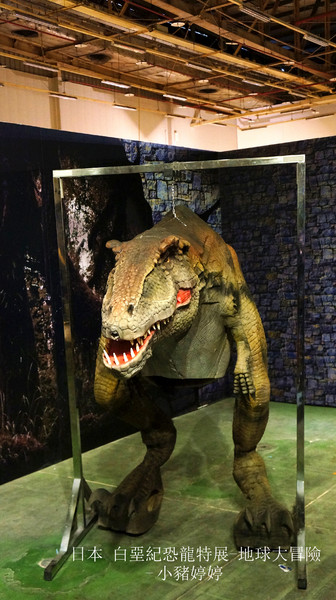 白堊紀恐龍特展(台中場):台中世貿 日本 白堊紀恐龍特展 地球大冒險 GO跟著我去冒險囉!