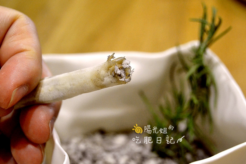 mountain_fusion_16.JPG - Mountain Fusion