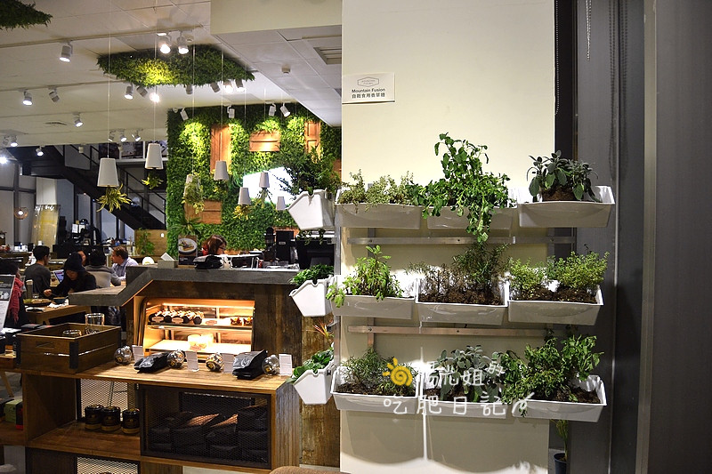 mountain_fusion_07.JPG - Mountain Fusion