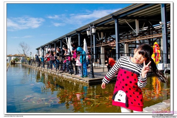 千巧谷牛樂園牧場：【親子遊】雲林☼ 千巧谷牛樂園牧場☼可愛的乳牛和好吃的乳製品，是孩子的天堂♥♥