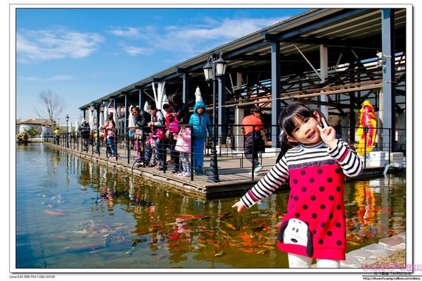 千巧谷牛樂園牧場：【親子遊】雲林☼ 千巧谷牛樂園牧場☼可愛的乳牛和好吃的乳製品，是孩子的天堂♥♥