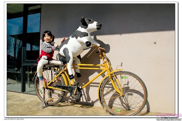千巧谷牛樂園牧場：【親子遊】雲林☼ 千巧谷牛樂園牧場☼可愛的乳牛和好吃的乳製品，是孩子的天堂♥♥