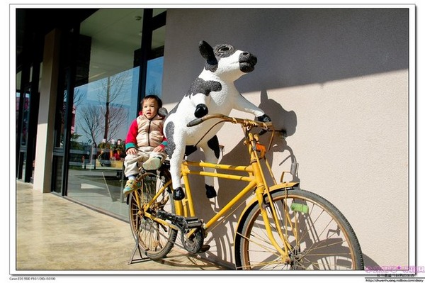 千巧谷牛樂園牧場：【親子遊】雲林☼ 千巧谷牛樂園牧場☼可愛的乳牛和好吃的乳製品，是孩子的天堂♥♥