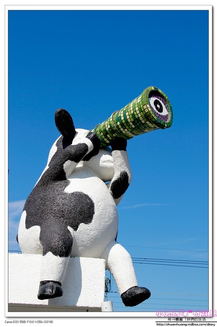 千巧谷牛樂園牧場：【親子遊】雲林☼ 千巧谷牛樂園牧場☼可愛的乳牛和好吃的乳製品，是孩子的天堂♥♥