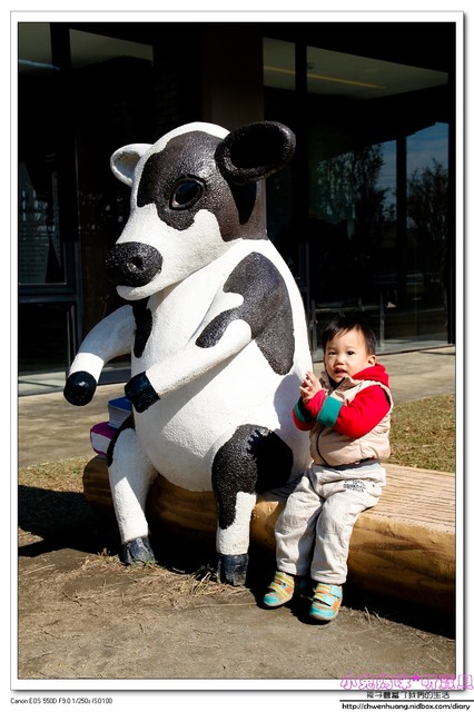 千巧谷牛樂園牧場：【親子遊】雲林☼ 千巧谷牛樂園牧場☼可愛的乳牛和好吃的乳製品，是孩子的天堂♥♥