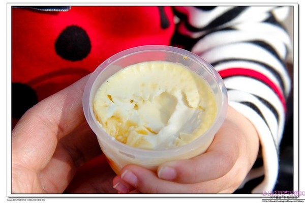 千巧谷牛樂園牧場：【親子遊】雲林☼ 千巧谷牛樂園牧場☼可愛的乳牛和好吃的乳製品，是孩子的天堂♥♥