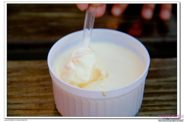 千巧谷牛樂園牧場：【親子遊】雲林☼ 千巧谷牛樂園牧場☼可愛的乳牛和好吃的乳製品，是孩子的天堂♥♥