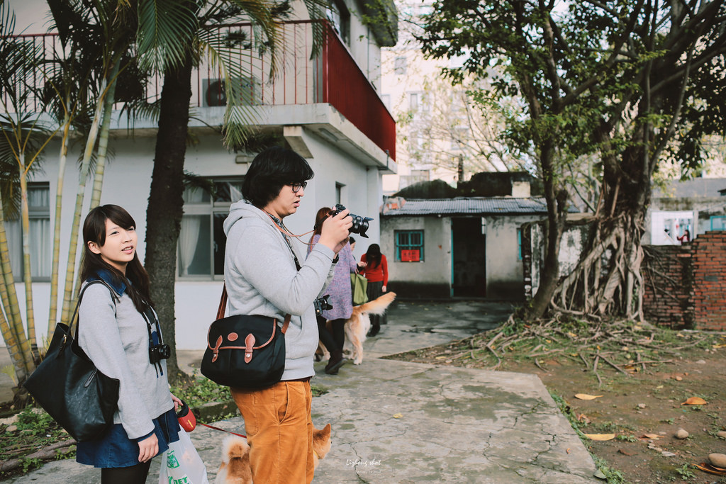 小狗的眷村巡禮（馬祖新村）