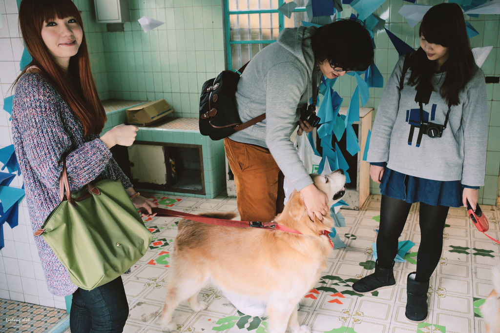 小狗的眷村巡禮（馬祖新村）