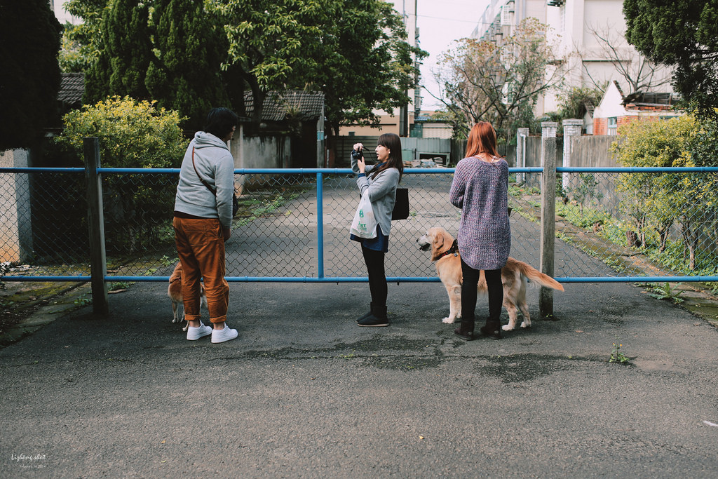 小狗的眷村巡禮（馬祖新村）