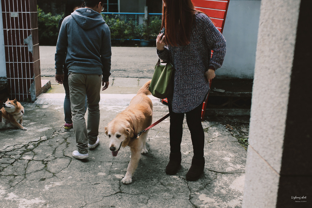 小狗的眷村巡禮（馬祖新村）