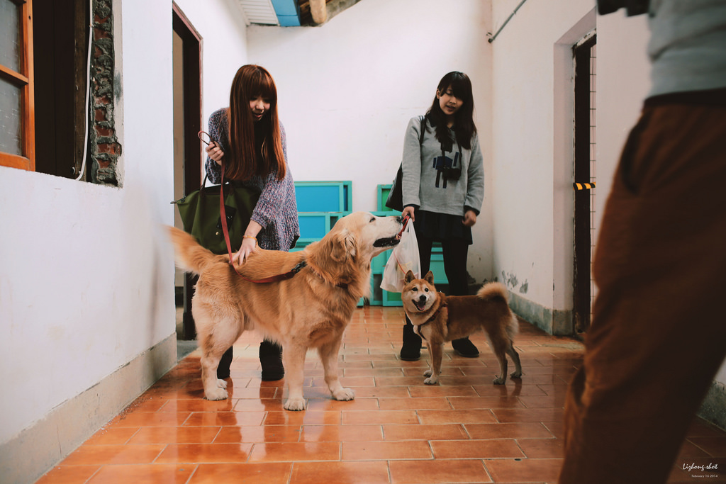 小狗的眷村巡禮（馬祖新村）