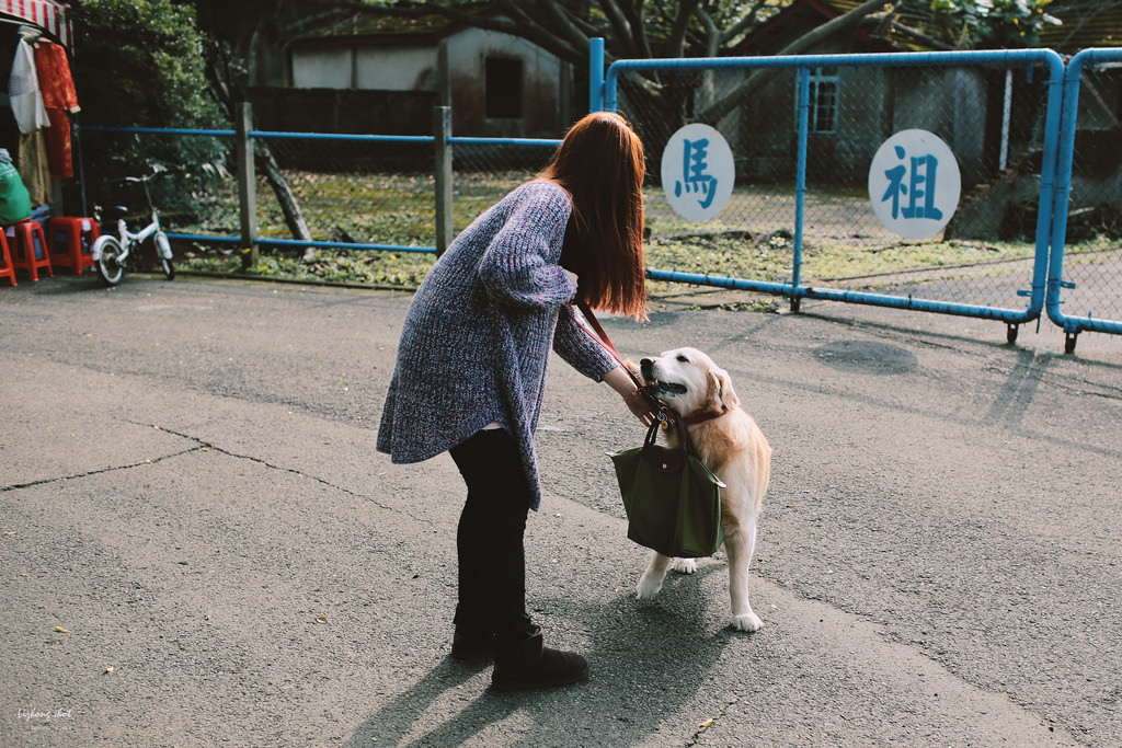 小狗的眷村巡禮（馬祖新村）